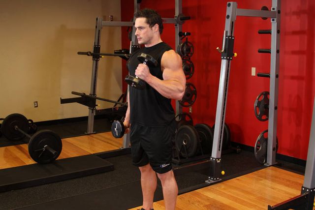 Alternate Hammer Curl: finishing position