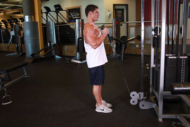 Cable Hammer Curls - Rope Attachment: finishing position