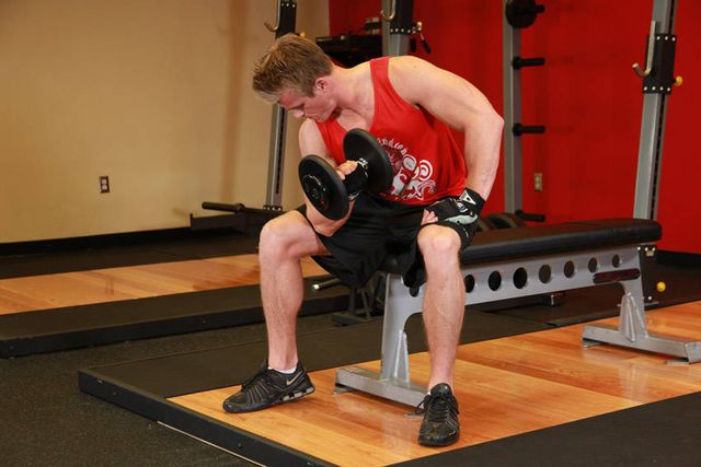 Concentration Curls: finishing position