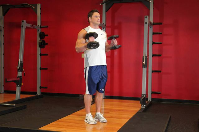 Hammer Curls: finishing position
