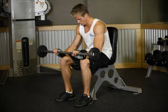 Seated Palms-Down Barbell Wrist Curl: finishing position