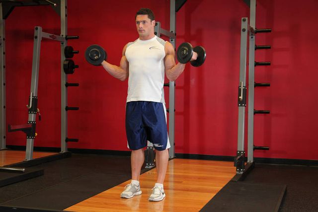 Standing Inner-Biceps Curl: finishing position