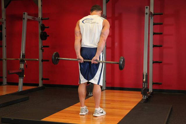 Standing Palms-Up Barbell Behind The Back Wrist Curl: finishing position