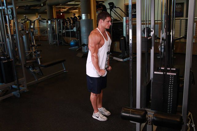 Triceps Pushdown - V-Bar Attachment: finishing position